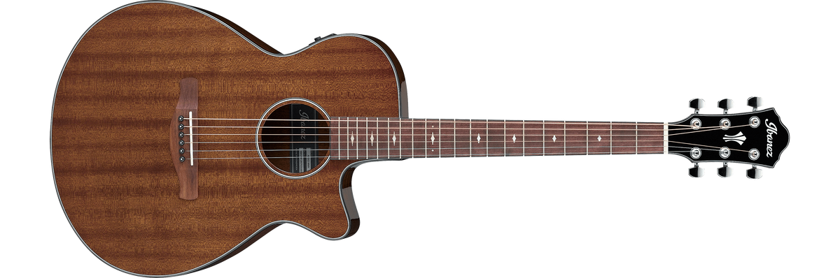 AEG62 | Ibanez Wiki | Fandom