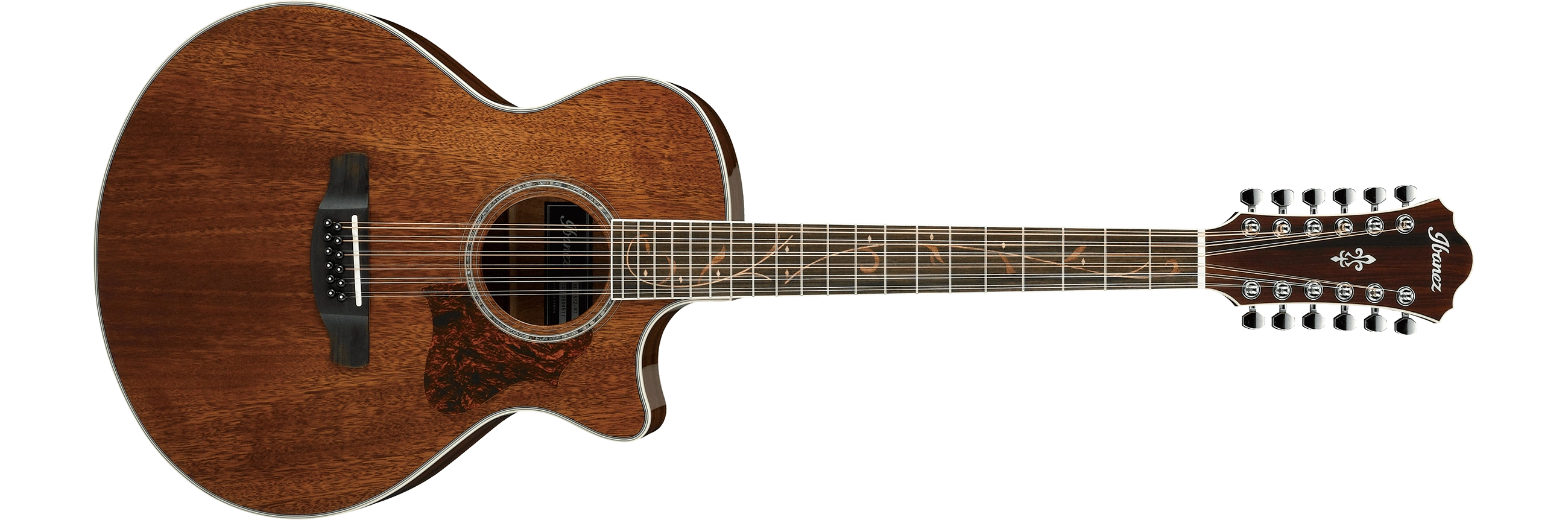 AE2412 | Ibanez Wiki | Fandom