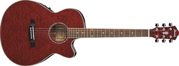 Ibanez aeg25e new arrivals
