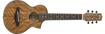 Ibanez ewp14wb deals