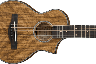 EWP13 | Ibanez Wiki | Fandom