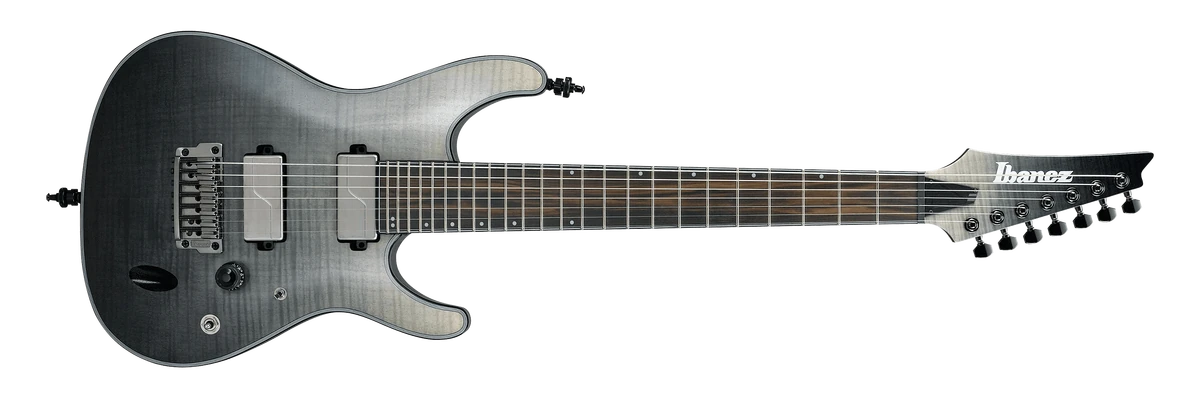 P:2020 S Axion Label models | Ibanez Wiki | Fandom