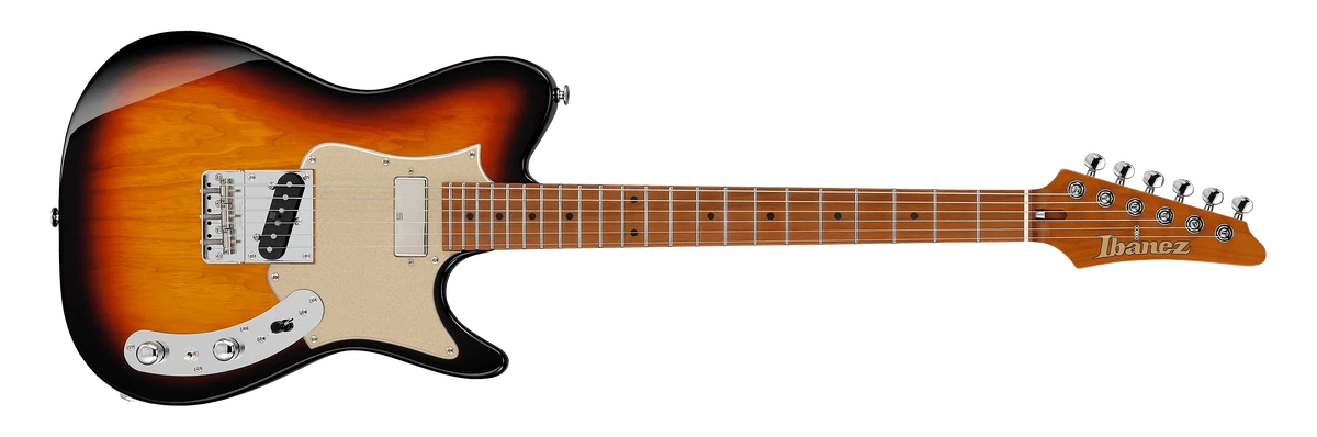 AZS2209H | Ibanez Wiki | Fandom