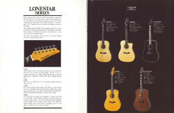 Ibanez Lonestar Series LE420 thinline acoustic electric