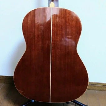 AW1010 | Ibanez Wiki | Fandom