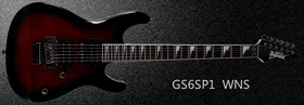 2017 GS6SP1 WNS