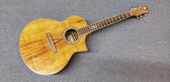 EW20KOE | Ibanez Wiki | Fandom