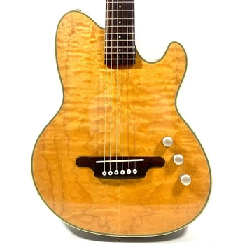 その他 TM TMX20 | Ibanez Wiki | Fandom