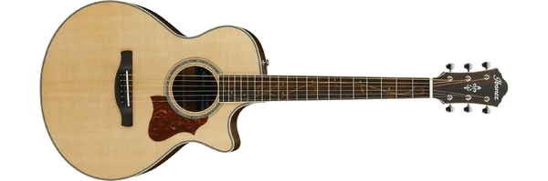 AE205JR | Ibanez Wiki | Fandom
