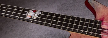 JPCS28 inlay