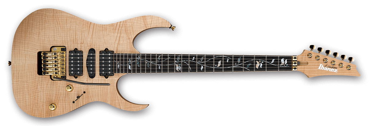 RG8570ZXX | Ibanez Wiki | Fandom RG8570ZXX | Ibanez Wiki | Fandom