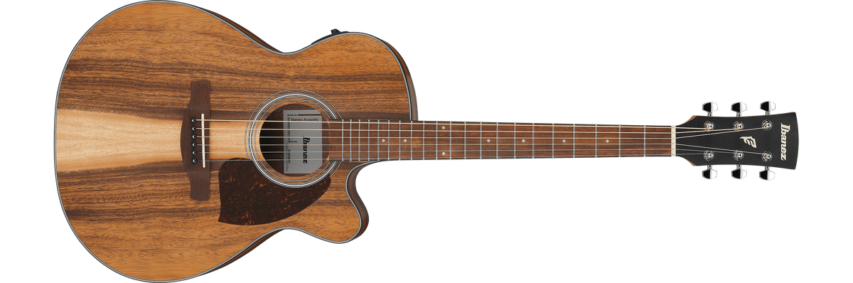 PC50WSCE | Ibanez Wiki | Fandom