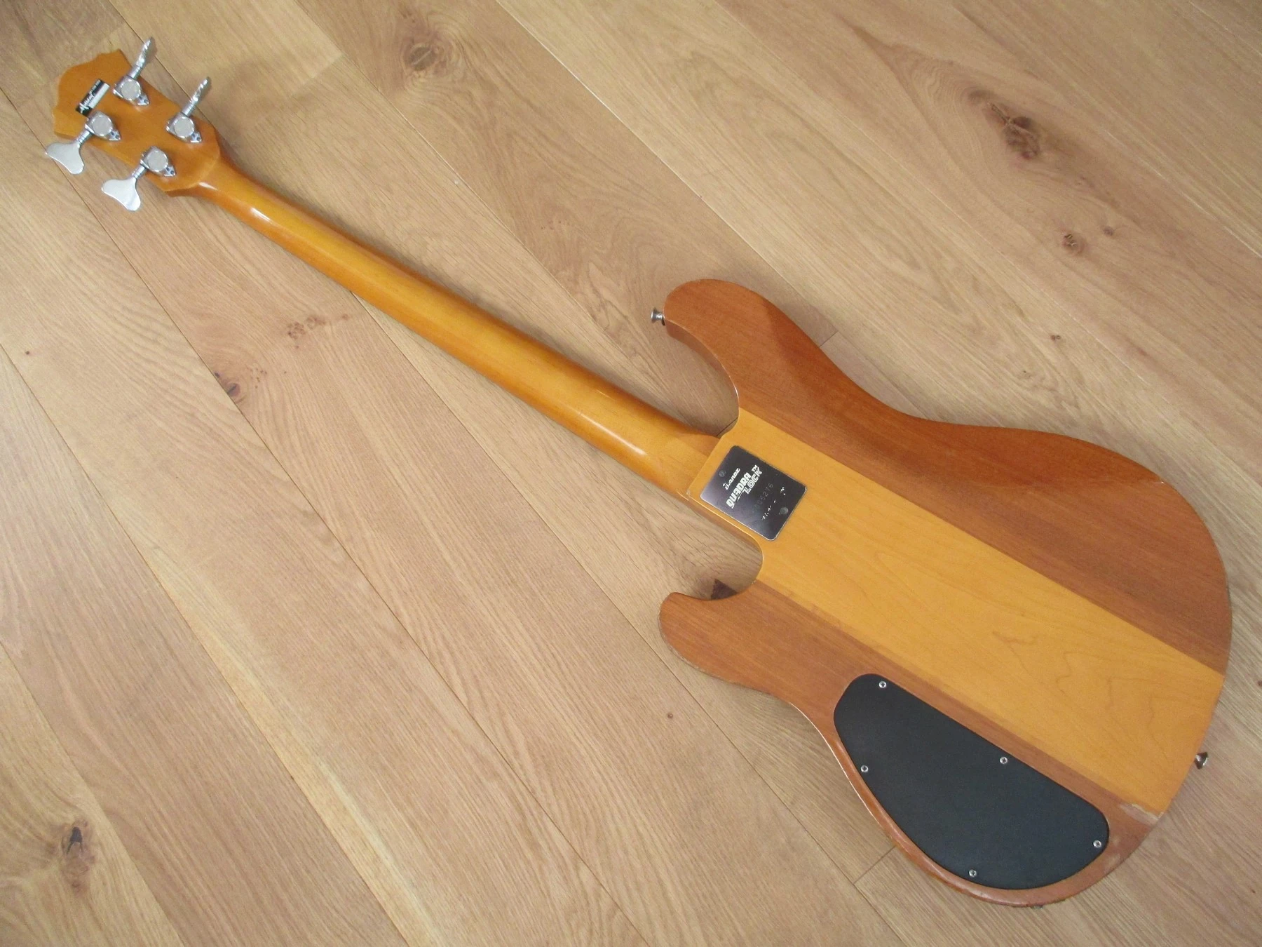 ST824 | Ibanez Wiki | Fandom