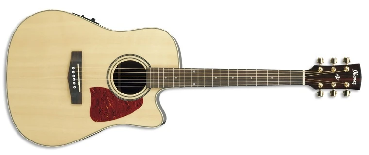 AW10ECE | Ibanez Wiki | Fandom
