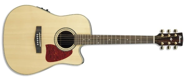 AW10ECE | Ibanez Wiki | Fandom