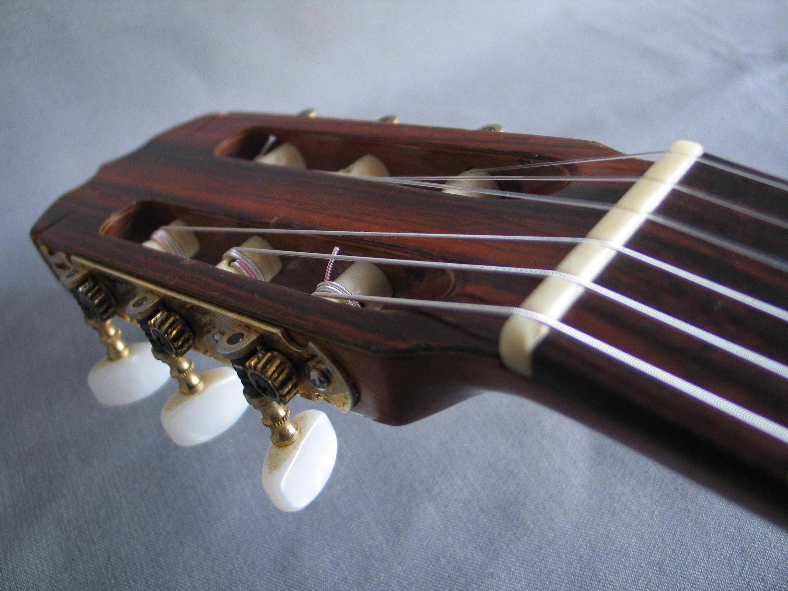 2856 | Ibanez Wiki | Fandom