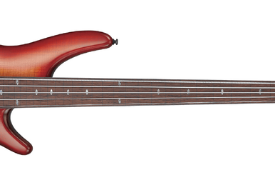 Ibanez gsr205bf sales
