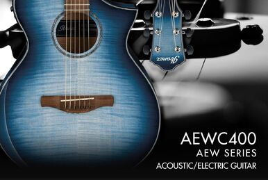 Ibanez AEW51 Acoustic-Electric Guitar | zZounds