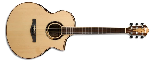 AEW51 | Ibanez Wiki | Fandom