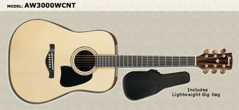 AW3000 | Ibanez Wiki | Fandom