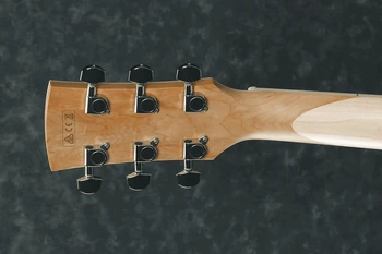 AC419E | Ibanez Wiki | Fandom