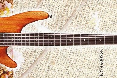 SR3000 | Ibanez Wiki | Fandom