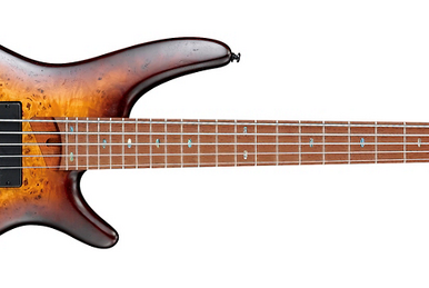 Ibanez sr505pb online
