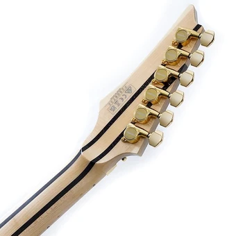 IKRG85702 | Ibanez Wiki | Fandom