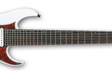 8弦　Ibanez RG Prestige RG2228A Ibanez RG2228A Prestige Electric Guitar with Case, 8-String