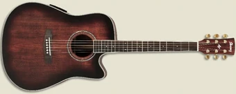 AW120ECE | Ibanez Wiki | Fandom