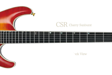 S8820B | Ibanez Wiki | Fandom