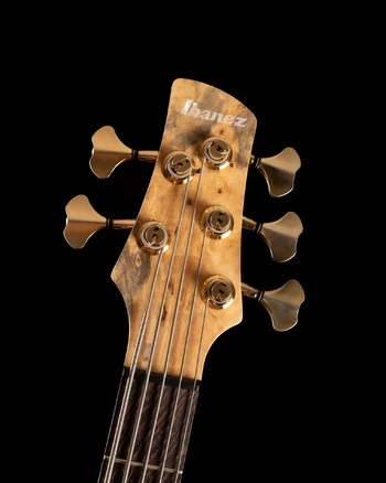 JCSR2501 headstock