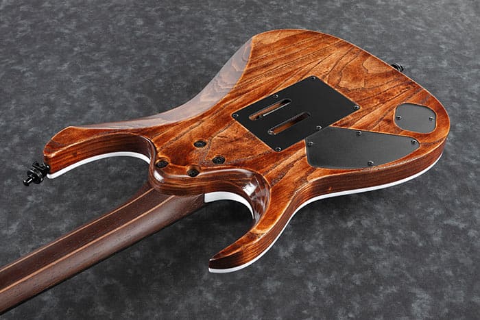 その他 LP Capability Brown Voice RJ7223 CHARISMA /00260 RGA60AL | Ibanez Wiki | Fandom