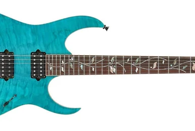 RG3021BR | Ibanez Wiki | Fandom