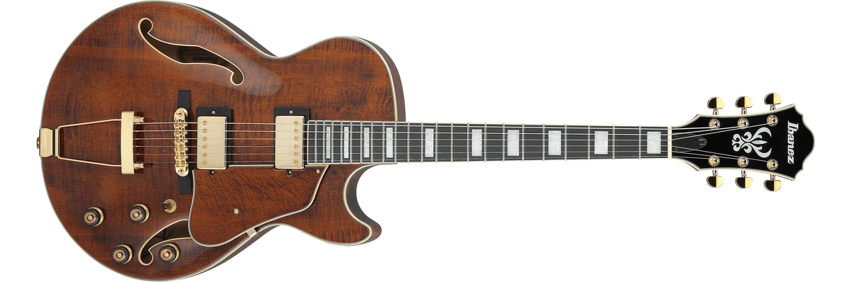 AG95MG | Ibanez Wiki | Fandom