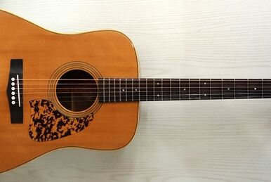 AW120 (1980–1981) | Ibanez Wiki | Fandom