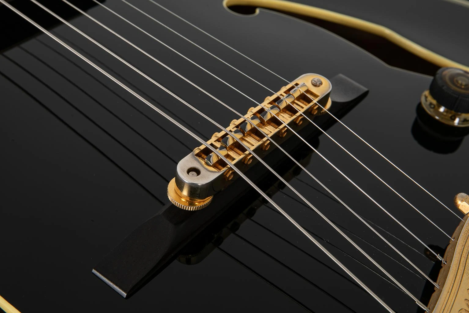 PM100 | Ibanez Wiki | Fandom