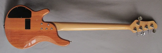 2005 RD905FM-NT rear