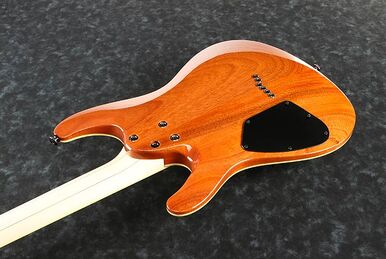 RG3021BR | Ibanez Wiki | Fandom