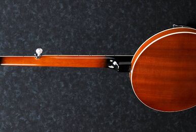 Ibanez b300 banjo online