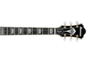 AFC151 | Ibanez Wiki | Fandom