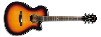 AEG8E | Ibanez Wiki | Fandom