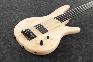 Ibanez gwb1 on sale