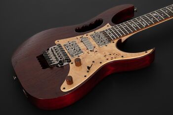 JEM77WDP | Ibanez Wiki | Fandom
