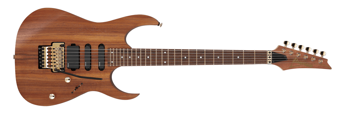 Ibanez rg6pkag deals