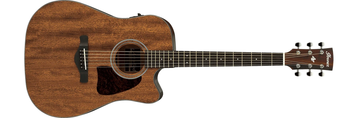 AW54CE | Ibanez Wiki | Fandom