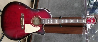 PGA1000 | Ibanez Wiki | Fandom