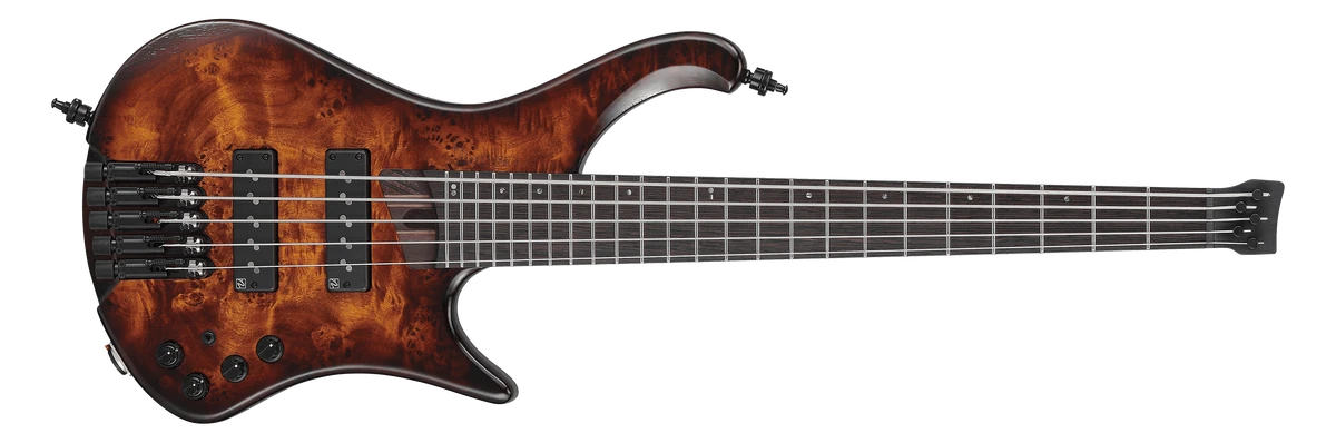 EHB1505S | Ibanez Wiki | Fandom