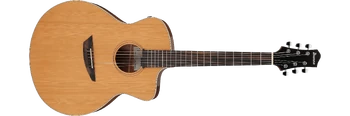 PA230E | Ibanez Wiki | Fandom