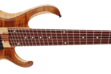 SRG371FM | Ibanez Wiki | Fandom